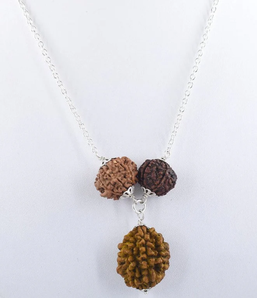 Natural 2 Mukhi,7 Mukhi and 8 Mukhi Rudraksha Pendant as For Kaal Sarp Dosh
