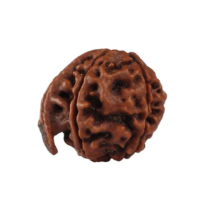 Natural Ganesh Nepali Rudraksha - Lab Certified